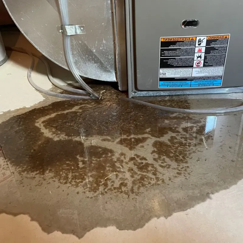 Pipe Burst and Leak Restoration in Los Alamos County, NM