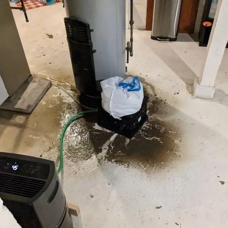 Sewage Backup Cleanup Service in Los Alamos County, NM